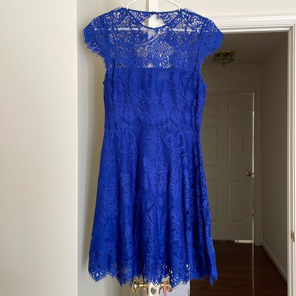 BB Dakota Dress, Size 4